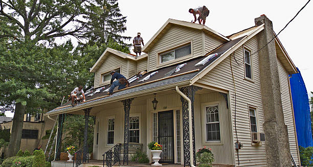 Best Roof Maintenance Services  in Wise, VA